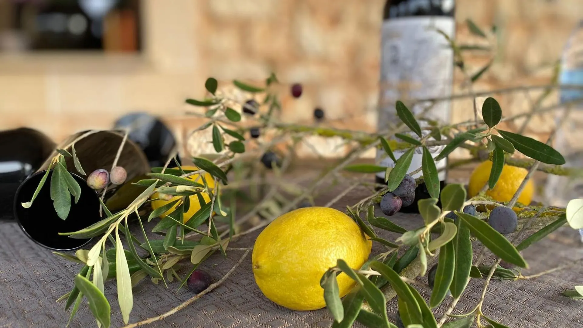 Mallorca Finca Gallo Negro Santanyi Campos Gesamte Unterkunft Social Media Villa Campos (Mallorca)