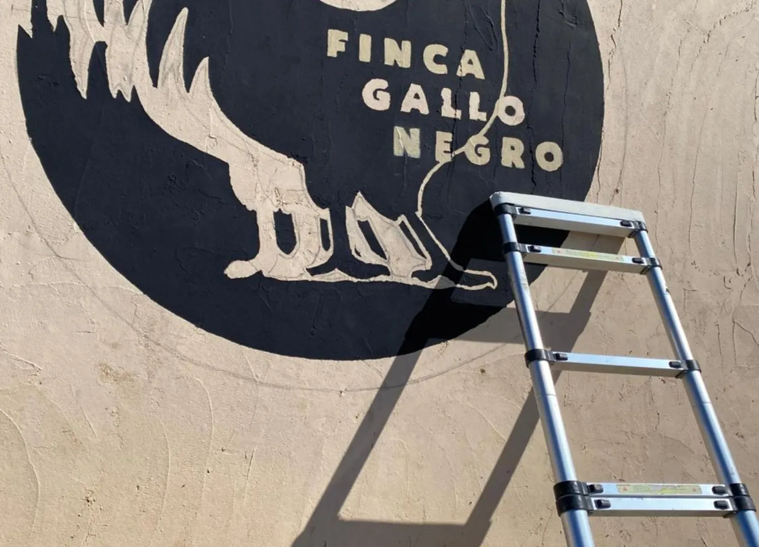 Mallorca Finca Gallo Negro Santanyi Campos Gesamte Unterkunft Social Media 0*, Campos (Mallorca) Spagna